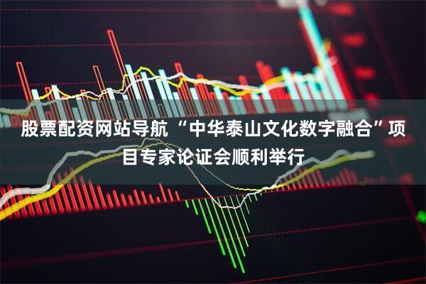 股票配资网站导航 “中华泰山文化数字融合”项目专家论证会顺利举行